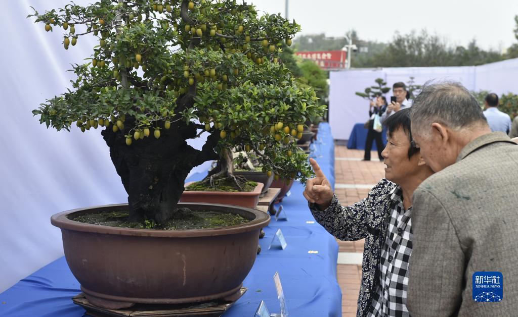 足球网上投注